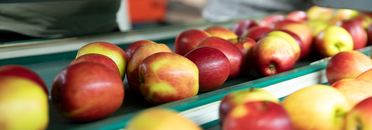 Obstlager Haiming