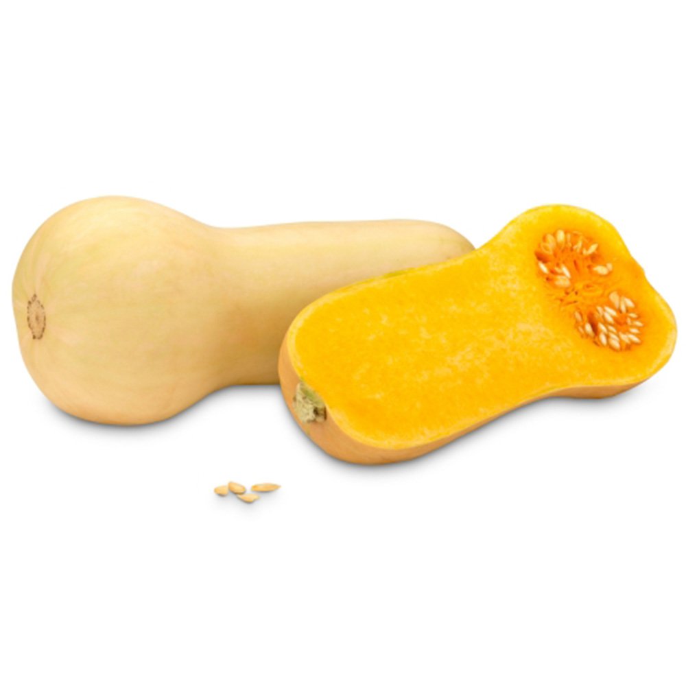 Bio Butternuss Kürbis